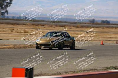 media/Nov-16-2024-CalClub SCCA (Sat) [[641f3b2761]]/Group 4/Grid and Front Straight/